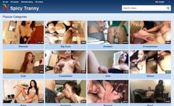 SpicyTranny site thumbnail