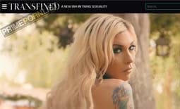 TransFixed site thumbnail